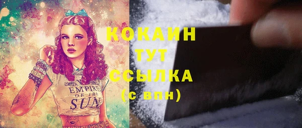 кокс Инсар