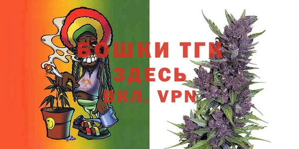 ALPHA PVP Иннополис